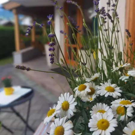 Zell Am צל-אם-זי