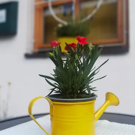 호텔 Zell Am 젤암제