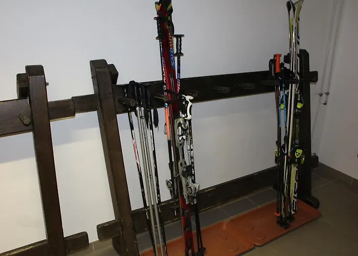 酒店 Zell Am 滨湖采尔