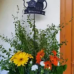 Hotel Zell Am 3*