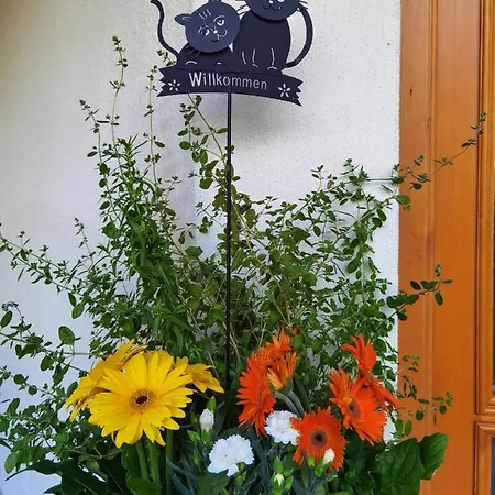 Ξενοδοχείο Zell Am 3*