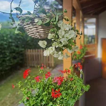 Zell Am 3*