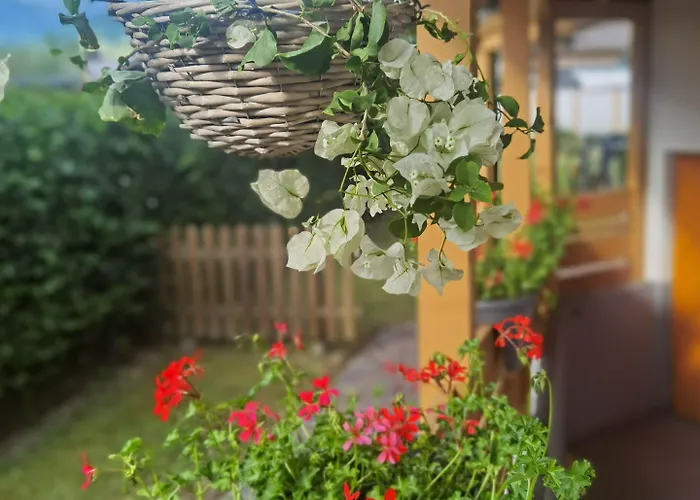 Zell Am Целль-ам-Зеє